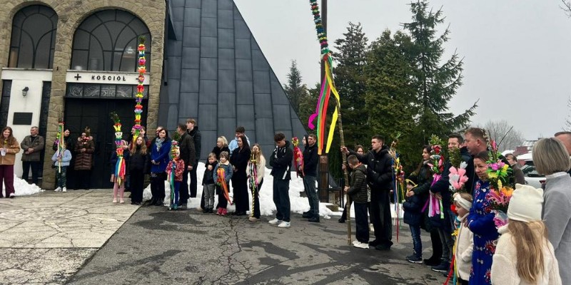 Rekordowe palmy pod Luboniem w Glisnem