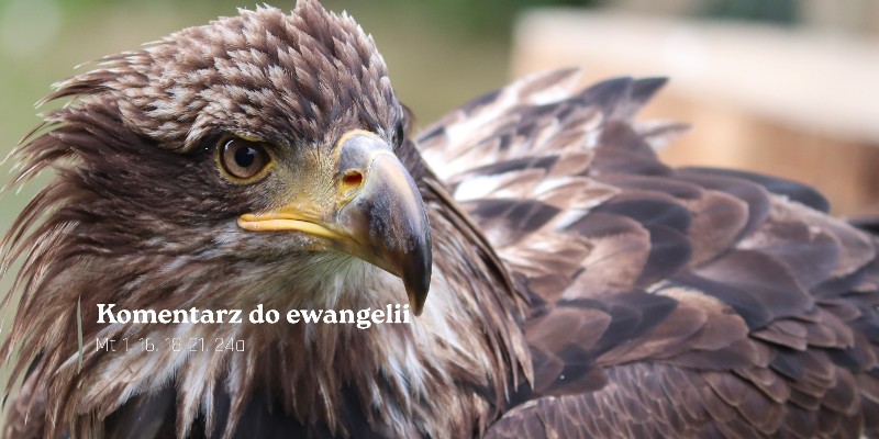 Komentarz do Ewangelii - 19 marca 2026