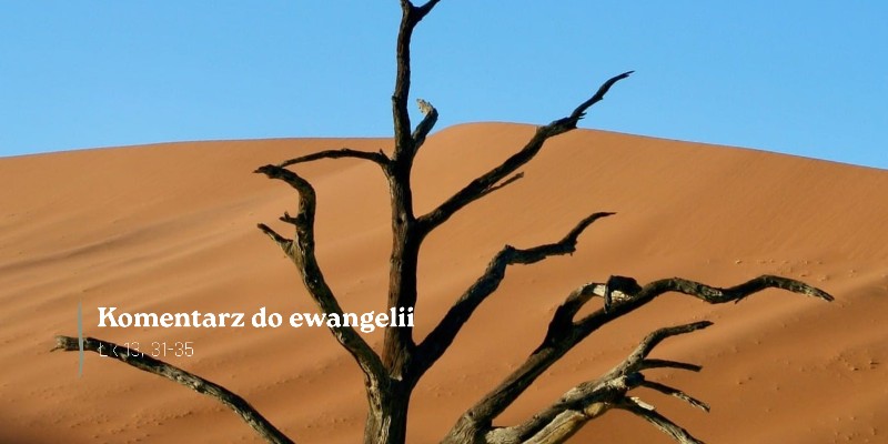 Komentarz do Ewangelii - 29 października 2026