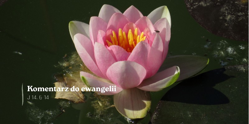 Komentarz do Ewangelii - 6 maja 2026