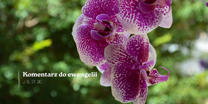 Komentarz do Ewangelii - 24 marca 2026