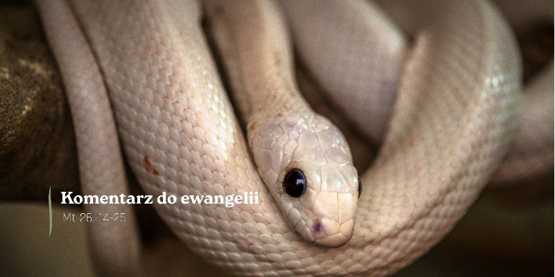 Komentarz do Ewangelii - 1 kwietnia 2026