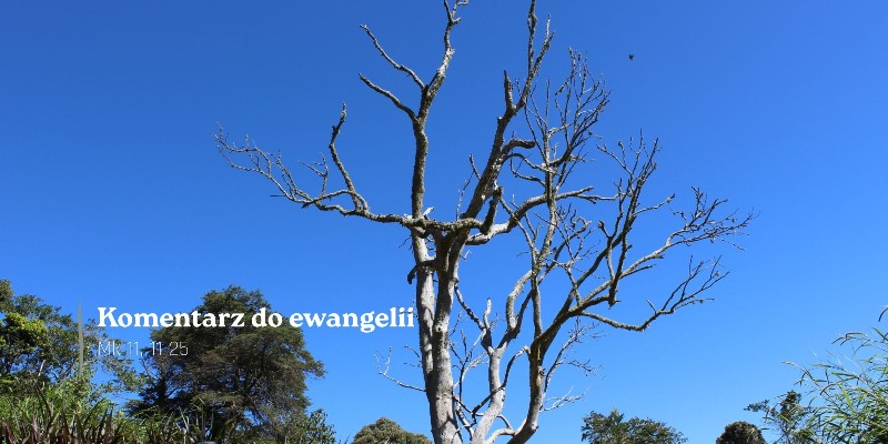 Komentarz do Ewangelii - 29 maja 2026