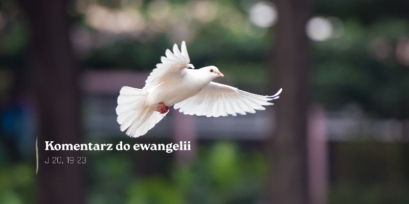 Komentarz do Ewangelii - 24 maja 2026