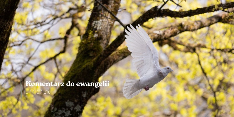 Komentarz do Ewangelii - 5 maja 2026