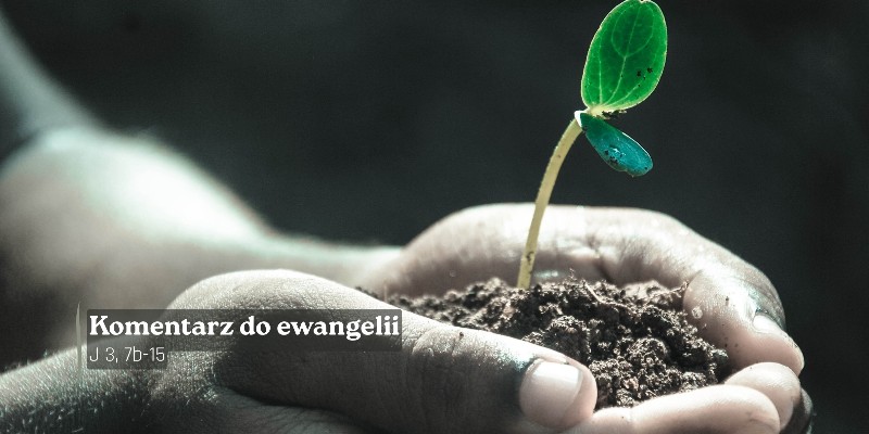 Komentarz do Ewangelii - 14 kwietnia 2026