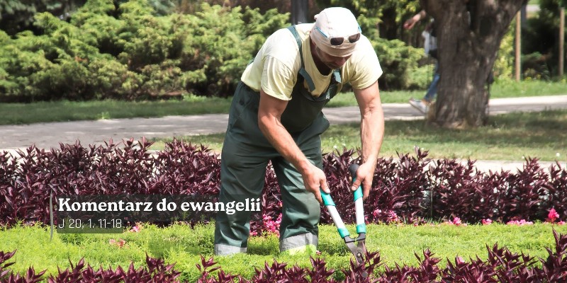 Komentarz do Ewangelii -22 lipca 2026