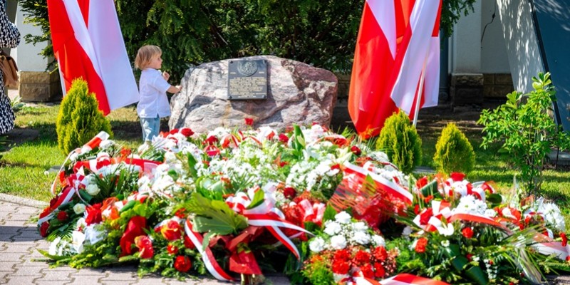 artykuł