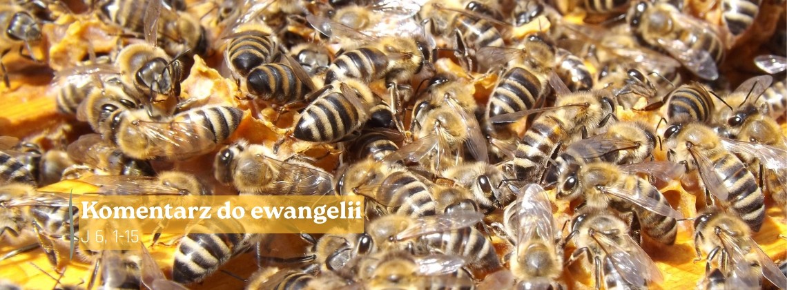 Komentarz do Ewangelii - 17 kwietnia 2026