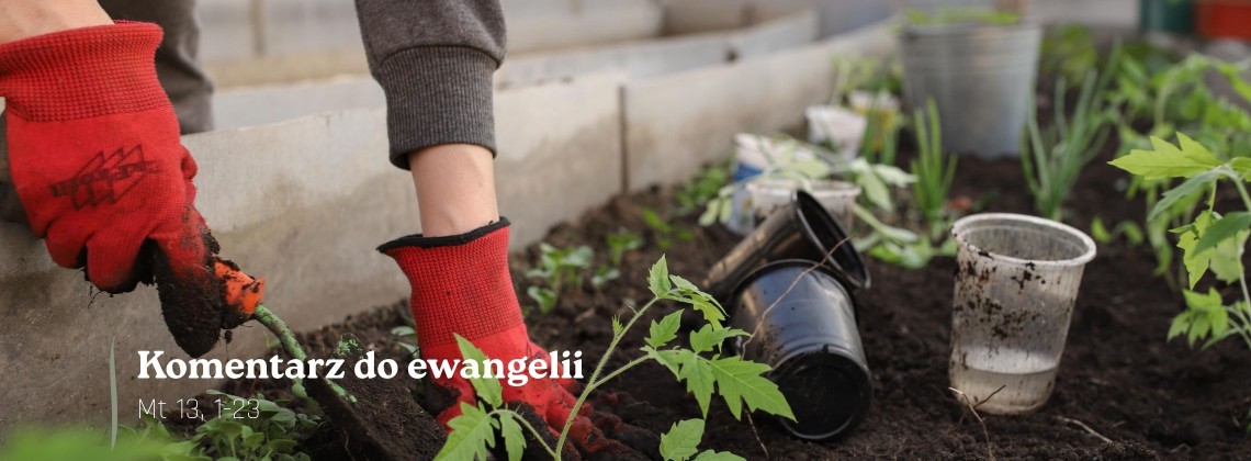 Komentarz do Ewangelii - 12 lipca 2026