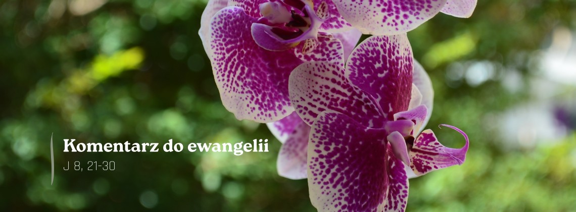 Komentarz do Ewangelii - 24 marca 2026
