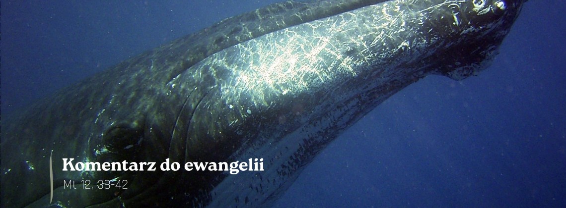 Komentarz do Ewangelii - 20 lipca 2026
