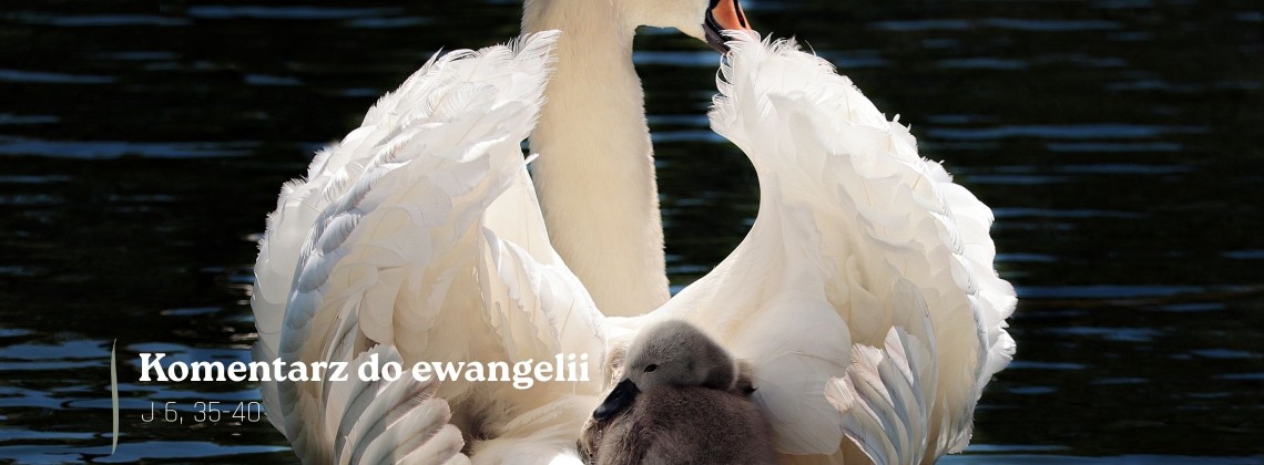 Komentarz do Ewangelii - 22 kwietnia 2026