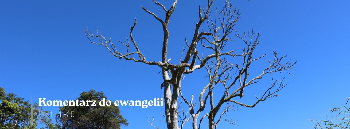 Komentarz do Ewangelii - 29 maja 2026