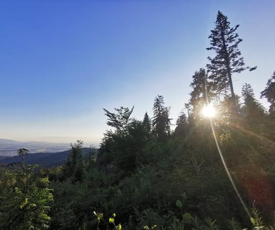 kaplica Królowej Gór 11.jpg