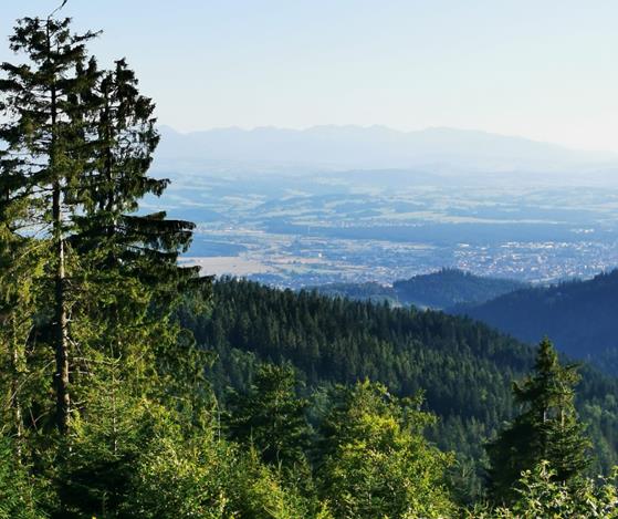 kaplica Królowej Gór 26.jpg